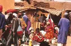 marche de sevare